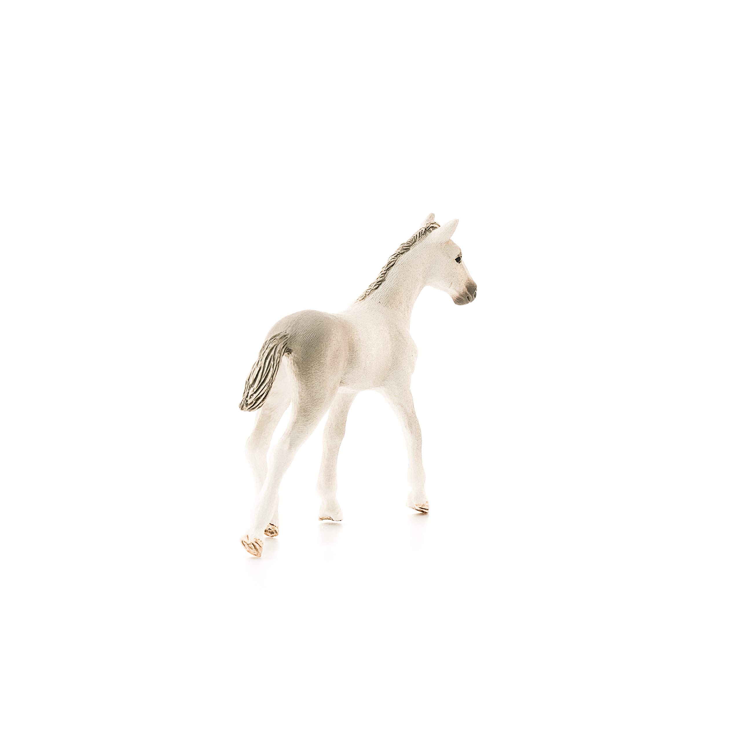 Amazon.co.jp: シュライヒ ホースクラブ ホルシュタイン馬(仔